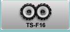 TS-F16