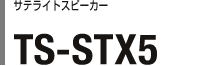 サテライトスピーカー TS-STX5