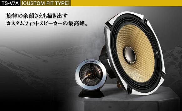 Pioneer carrozzeria TS-V7A | mdh.com.sa