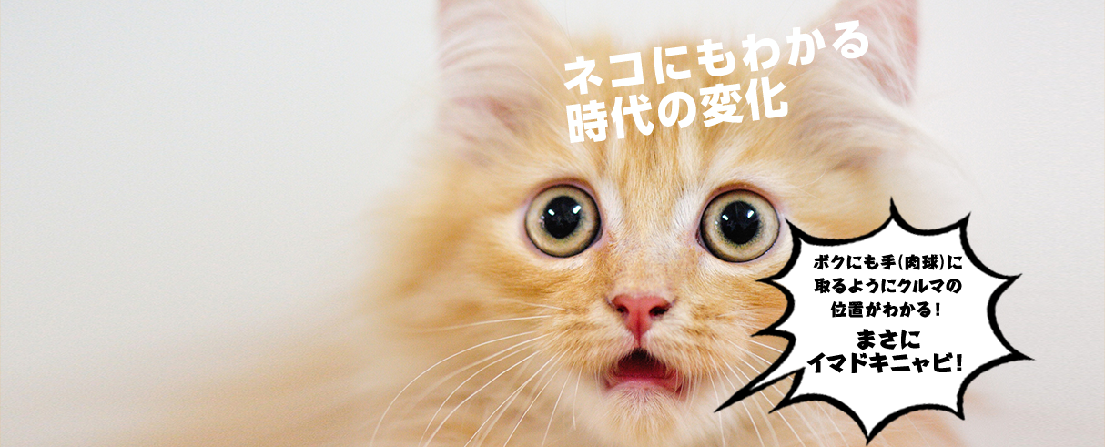 ネコにもわかる時代の変化