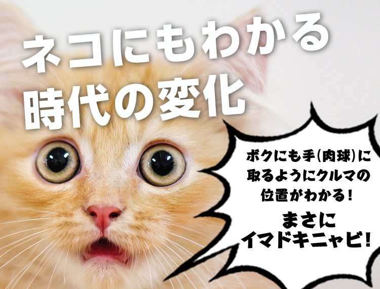 ネコにもわかる時代の変化