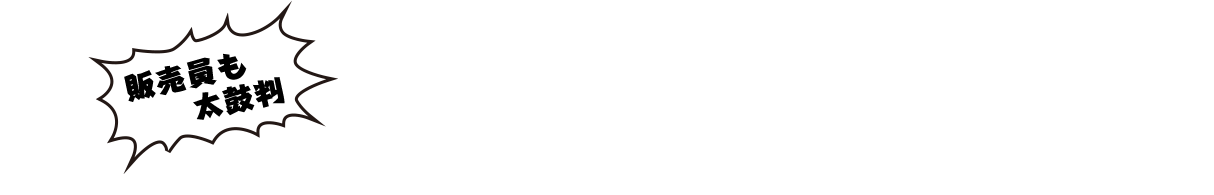 これがデキるイマドキナビはサイバーナビ