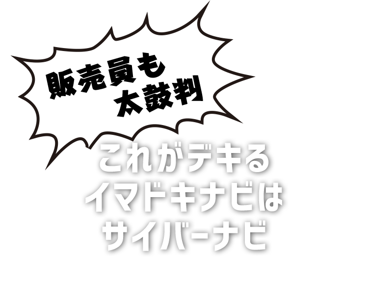 これがデキるイマドキナビはサイバーナビ