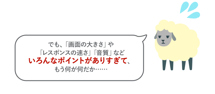 でも、「画面の大きさ」や「レスポンスの速さ」「音質」などいろんなポイントがありすぎて、もう何が何だか…