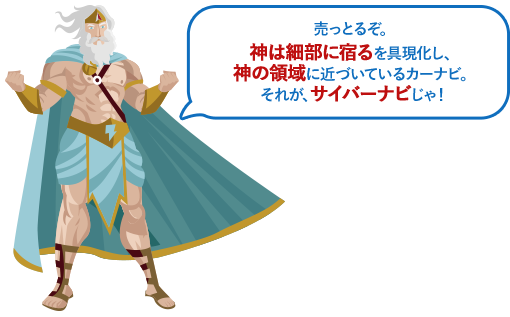 売っとるぞ。神は細部に宿るを具現化し、神の領域に近づいているカーナビ。それが、サイバーナビじゃ！