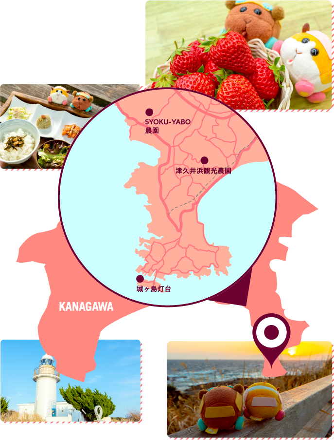神奈川県三浦半島
