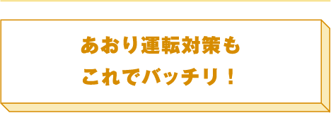 あおり運転対策もこれでバッチリ！