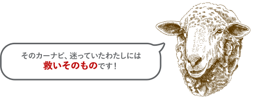 そのカーナビ、迷っていたわたしには救いそのものです！