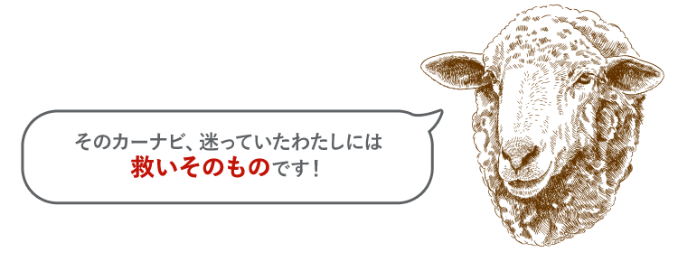 そのカーナビ、迷っていたわたしには救いそのものです！