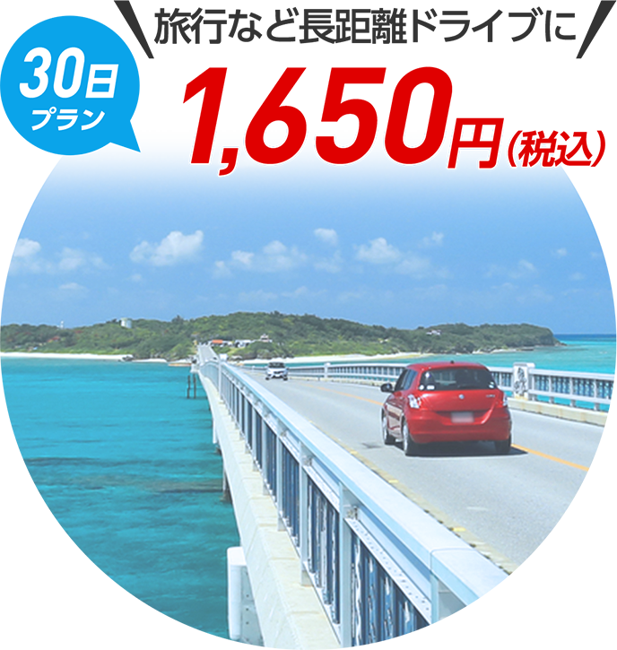 旅行など長距離ドライブに【30日プラン】