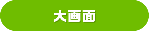 大画面