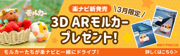 楽ナビ発売記念　3D ARモルカー プレゼントキャンペーン