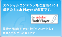 Flash Player ダウンロード