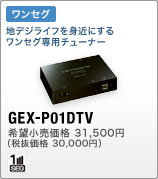 GEX-P01DTV 