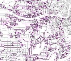 現地調査で地図データとして整備された例（紫色の部分）
