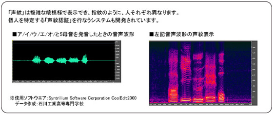 声紋波形と声紋表示