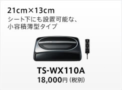 TS-WX110A
