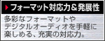 フォーマット対応力&発展性