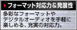 フォーマット対応力&発展性
