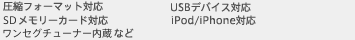 圧縮フォーマット対応　USBデバイス対応　SDメモリーカード対応　iPod/iPhone対応　ワンセグチューナー内蔵など