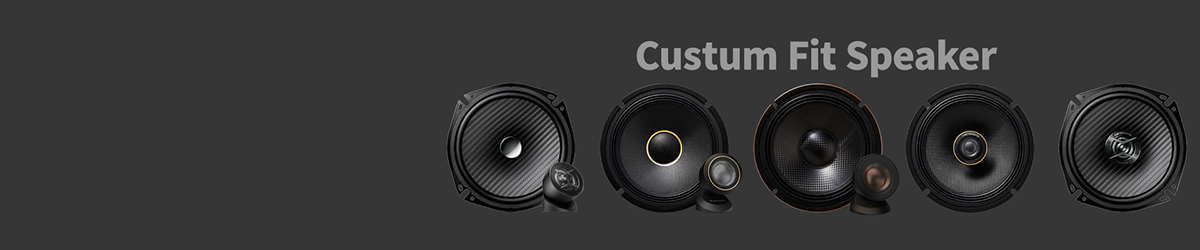 Custum Fit Speaker