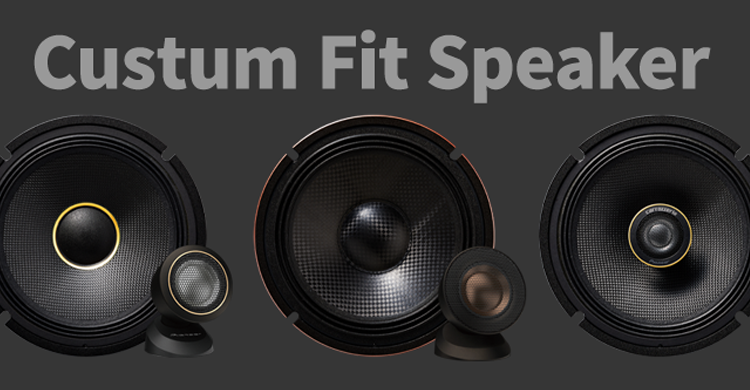 Custum Fit Speaker