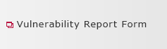 Vulnerability Report Form
