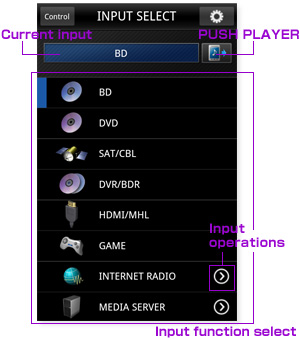 Input select screen